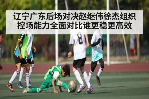 辽宁广东后场对决赵继伟徐杰组织控场能力全面对比谁更稳更高效（kaiyun）